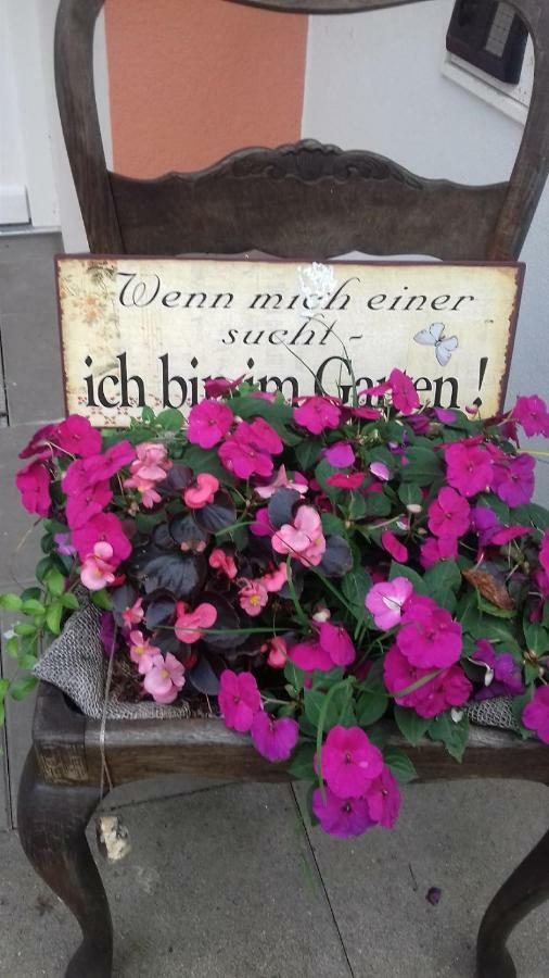 Fewo 1 Waren Mueritz - Haus Buchen Am Tiefwarensee - 1 Zi Bagian luar foto